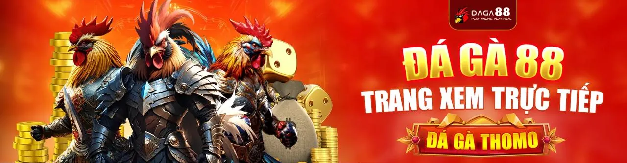 Đấu trường đá gà sôi động tại 69vin website chính thức